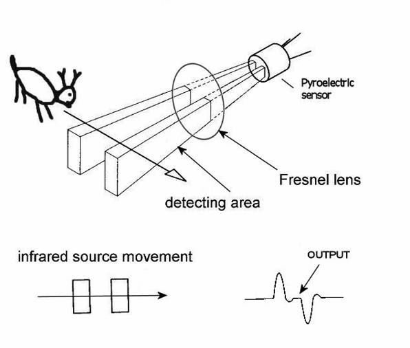 What Is A Motion Detector And How Does It Work At Adelle Messenger Blog What Is A Motion Detector And How Does It Work At Adelle Messenger Blog